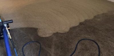 Carpet Cleaning tan rug that appreared black