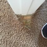 Carpet damage at door jam